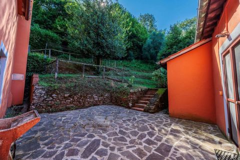 Farm hus i Pescia, Pistoia, Pescia - € 570.000 | Ref: R06575PECA-1327464 - foto 24