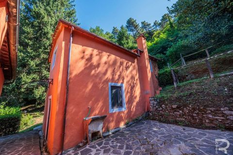 Farm hus i Pescia, Pistoia, Pescia - € 570.000 | Ref: R06575PECA-1327464 - foto 27