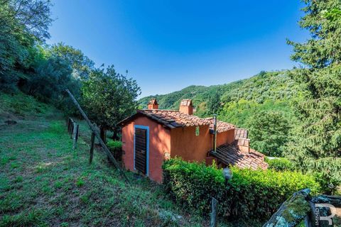 Farm hus i Pescia, Pistoia, Pescia - € 570.000 | Ref: R06575PECA-1327464 - foto 29