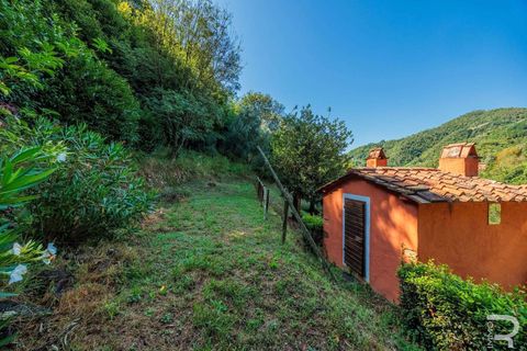 Farm hus i Pescia, Pistoia, Pescia - € 570.000 | Ref: R06575PECA-1327464 - foto 30