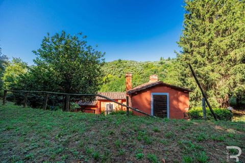 Farm hus i Pescia, Pistoia, Pescia - € 570.000 | Ref: R06575PECA-1327464 - foto 31