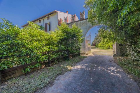 Landejendom i Vigasio, Verona, Vigasio - € 3.500.000 | Ref: R06565VIHA-1327703 - foto 6