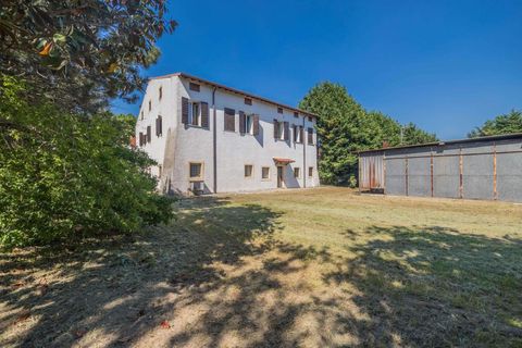 Landejendom i Vigasio, Verona, Vigasio - € 3.500.000 | Ref: R06565VIHA-1327703 - foto 12