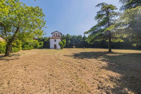 Landejendom i Vigasio, Verona, Vigasio - € 3.500.000 | Ref: R06565VIHA-1327703 - foto 16