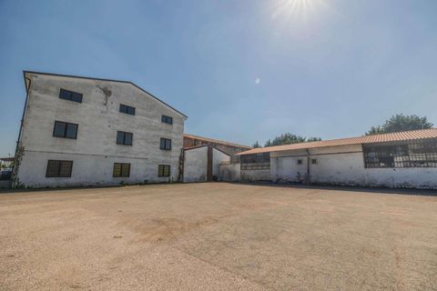 Landejendom i Vigasio, Verona, Vigasio - € 3.500.000 | Ref: R06565VIHA-1327703 - foto 18