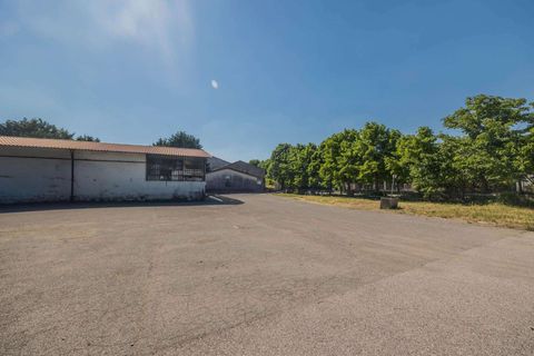 Landejendom i Vigasio, Verona, Vigasio - € 3.500.000 | Ref: R06565VIHA-1327703 - foto 19