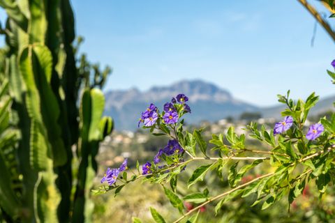 Finca i Benissa, Alicante, Benissa - € 1.299.500 | Ref: F0211 - foto 9