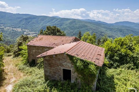 Farm hus i Bibbiena, Arezzo, Bibbiena - € 190.000 | Ref: R06555BIRU-1327840 - foto 2
