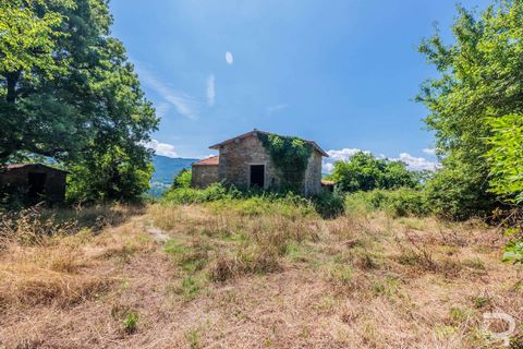 Farm hus i Bibbiena, Arezzo, Bibbiena - € 190.000 | Ref: R06555BIRU-1327840 - foto 3