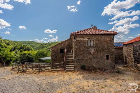 Farm hus i Cortona, Arezzo, Cortona - € 590.000 | Ref: R06527CORU-1328129 - foto 9