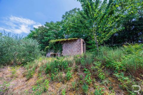 Farm hus i Cortona, Arezzo, Cortona - € 349.000 | Ref: R06477CORU-1328767 - foto 11
