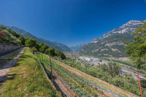 Landejendom i Ala, Turin, Ala - € 750.000 | Ref: R06475ALHO-1328894 - foto 19