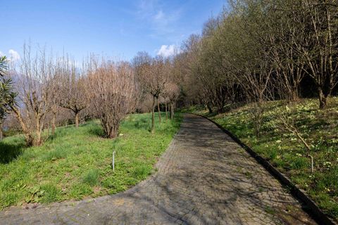 Villa i Pettenasco, Novara, Pettenasco - € 2.450.000 | Ref: W-048D4E-1328966 - foto 22