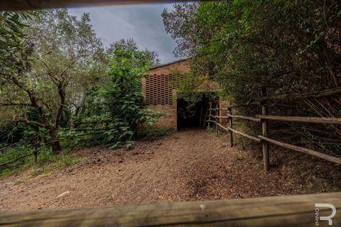 Farm hus i Certaldo, Florence, Certaldo - € 980.000 | Ref: R06468CERU-1329001 - foto 13