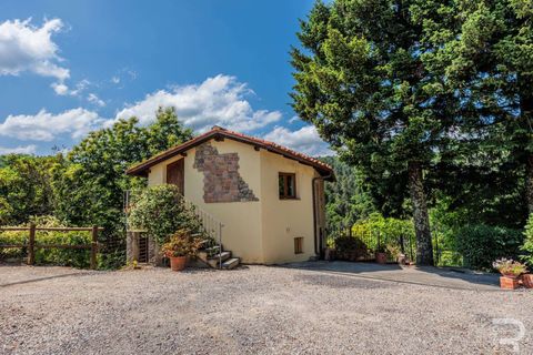 Landejendom i Pescia, Pistoia, Pescia - € 850.000 | Ref: R06435PEAG-1329185 - foto 12