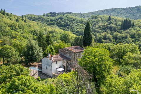 Farm hus i Pontassieve, Florence, Pontassieve - € 650.000 | Ref: R06458PORU-1329248 - foto 3