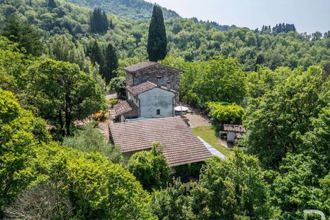Farm hus i Pontassieve, Florence, Pontassieve - € 650.000 | Ref: R06458PORU-1329248 - foto 5