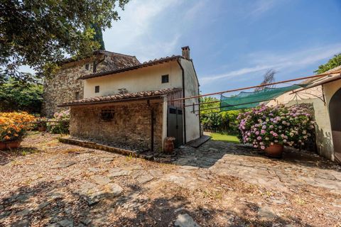Farm hus i Pontassieve, Florence, Pontassieve - € 650.000 | Ref: R06458PORU-1329248 - foto 9