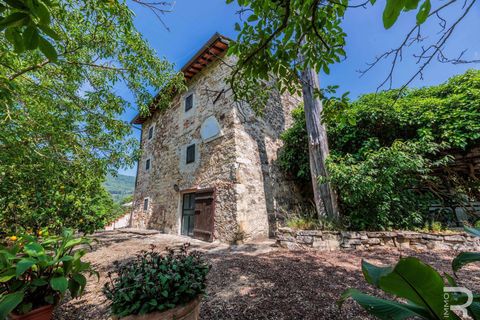 Farm hus i Pontassieve, Florence, Pontassieve - € 650.000 | Ref: R06458PORU-1329248 - foto 20