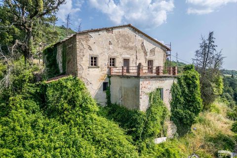 Farm hus i Rufina, Florence, Rufina - € 319.000 | Ref: R06451RURU-1329374 - foto 5