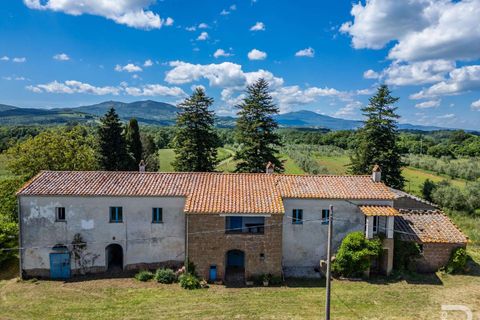 Farm hus i Sorano, Grosseto, Sorano - € 390.000 | Ref: R06399SOCA-1329884 - foto 4
