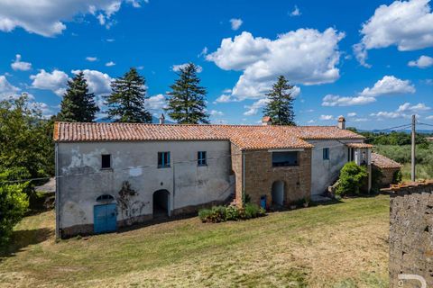 Farm hus i Sorano, Grosseto, Sorano - € 390.000 | Ref: R06399SOCA-1329884 - foto 5