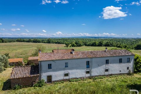 Farm hus i Sorano, Grosseto, Sorano - € 390.000 | Ref: R06399SOCA-1329884 - foto 8