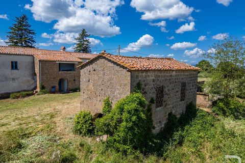 Farm hus i Sorano, Grosseto, Sorano - € 390.000 | Ref: R06399SOCA-1329884 - foto 11