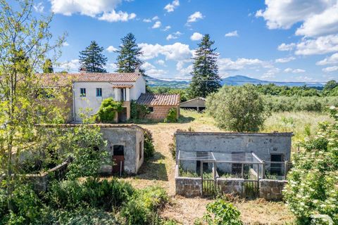 Farm hus i Sorano, Grosseto, Sorano - € 390.000 | Ref: R06399SOCA-1329884 - foto 13