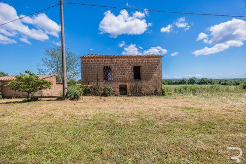 Farm hus i Sorano, Grosseto, Sorano - € 390.000 | Ref: R06399SOCA-1329884 - foto 25