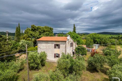 Landejendom i Campagnatico, Grosseto, Campagnatico - € 740.000 | Ref: R06362CAAG-1329935 - foto 3