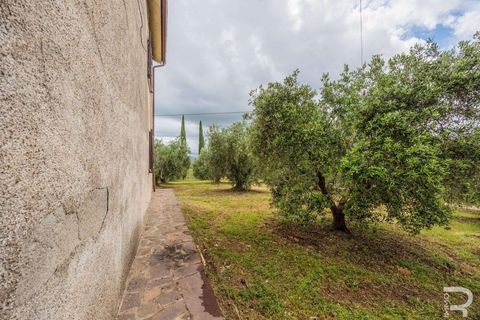 Landejendom i Campagnatico, Grosseto, Campagnatico - € 740.000 | Ref: R06362CAAG-1329935 - foto 7