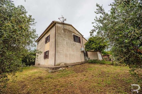 Landejendom i Campagnatico, Grosseto, Campagnatico - € 740.000 | Ref: R06362CAAG-1329935 - foto 8