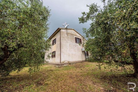 Landejendom i Campagnatico, Grosseto, Campagnatico - € 740.000 | Ref: R06362CAAG-1329935 - foto 10