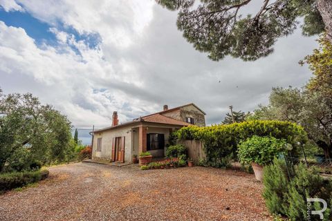 Landejendom i Campagnatico, Grosseto, Campagnatico - € 740.000 | Ref: R06362CAAG-1329935 - foto 11