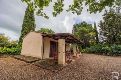 Landejendom i Campagnatico, Grosseto, Campagnatico - € 740.000 | Ref: R06362CAAG-1329935 - foto 12