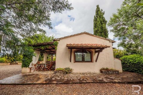 Landejendom i Campagnatico, Grosseto, Campagnatico - € 740.000 | Ref: R06362CAAG-1329935 - foto 15