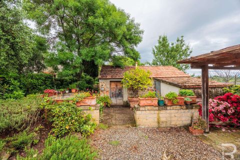 Landejendom i Campagnatico, Grosseto, Campagnatico - € 740.000 | Ref: R06362CAAG-1329935 - foto 23