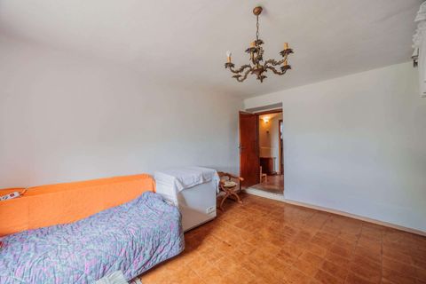 Landejendom i Campagnatico, Grosseto, Campagnatico - € 740.000 | Ref: R06362CAAG-1329935 - foto 50