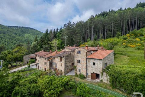 Farm hus i Bibbiena, Arezzo, Bibbiena - € 700.000 | Ref: R06394BIRU-1330085 - foto 1