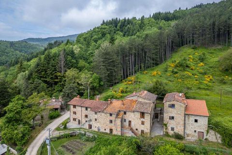 Farm hus i Bibbiena, Arezzo, Bibbiena - € 700.000 | Ref: R06394BIRU-1330085 - foto 2