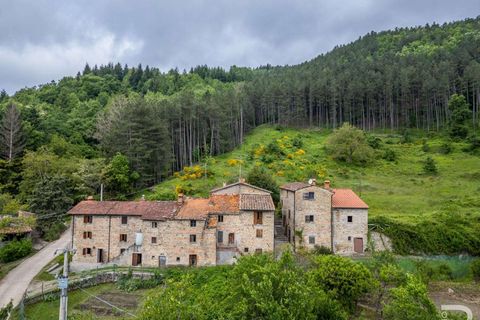 Farm hus i Bibbiena, Arezzo, Bibbiena - € 700.000 | Ref: R06394BIRU-1330085 - foto 3