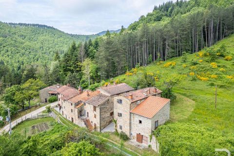 Farm hus i Bibbiena, Arezzo, Bibbiena - € 700.000 | Ref: R06394BIRU-1330085 - foto 5