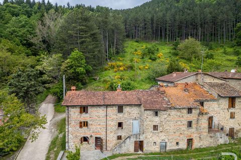 Farm hus i Bibbiena, Arezzo, Bibbiena - € 700.000 | Ref: R06394BIRU-1330085 - foto 6