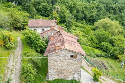 Farm hus i Bibbiena, Arezzo, Bibbiena - € 700.000 | Ref: R06394BIRU-1330085 - foto 7