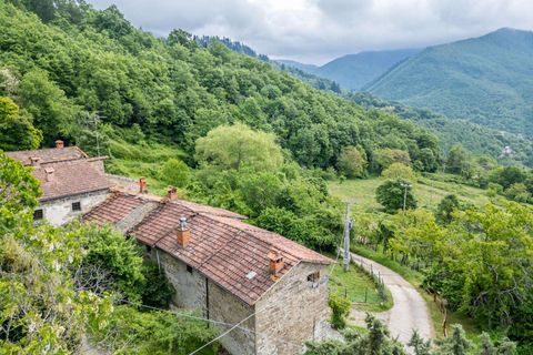 Farm hus i Bibbiena, Arezzo, Bibbiena - € 700.000 | Ref: R06394BIRU-1330085 - foto 8