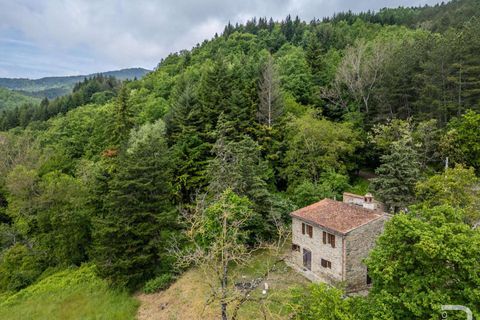 Farm hus i Bibbiena, Arezzo, Bibbiena - € 700.000 | Ref: R06394BIRU-1330085 - foto 9
