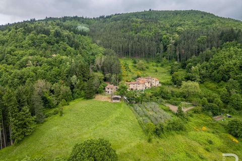 Farm hus i Bibbiena, Arezzo, Bibbiena - € 700.000 | Ref: R06394BIRU-1330085 - foto 12
