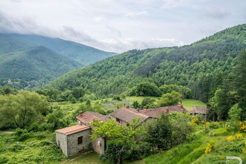 Farm hus i Bibbiena, Arezzo, Bibbiena - € 700.000 | Ref: R06394BIRU-1330085 - foto 13