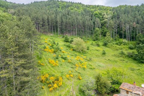 Farm hus i Bibbiena, Arezzo, Bibbiena - € 700.000 | Ref: R06394BIRU-1330085 - foto 14